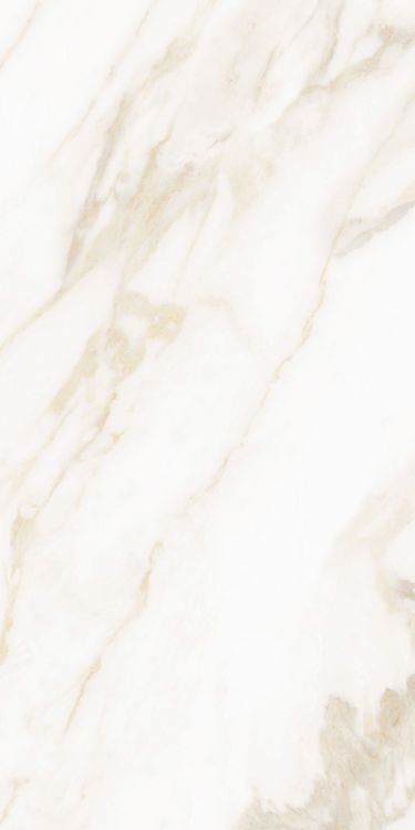 Classy Warm White Matte 12 x 24
